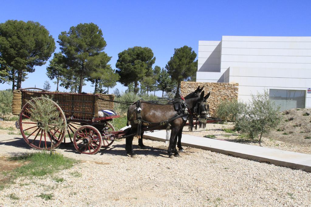 فيلا Luz De Alba Argamasilla de Alba المظهر الخارجي الصورة